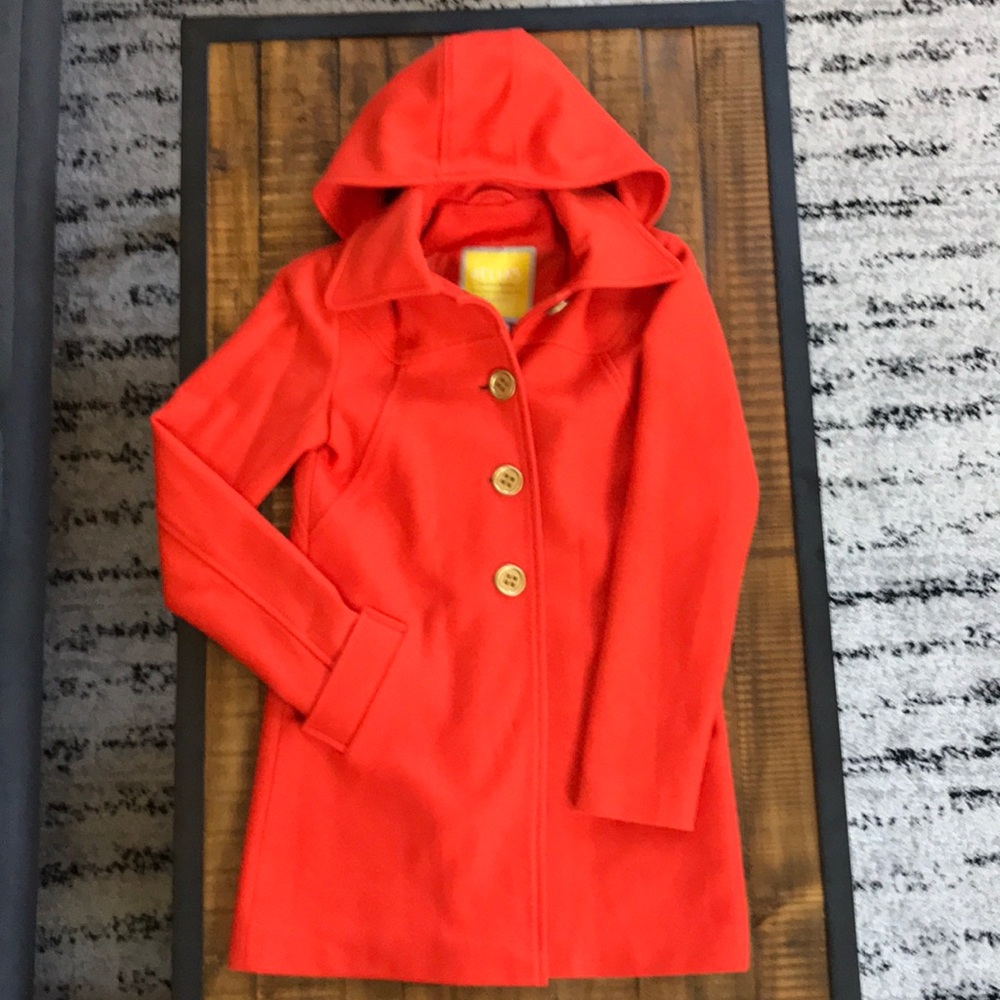 Orange hooded Delias peacoat